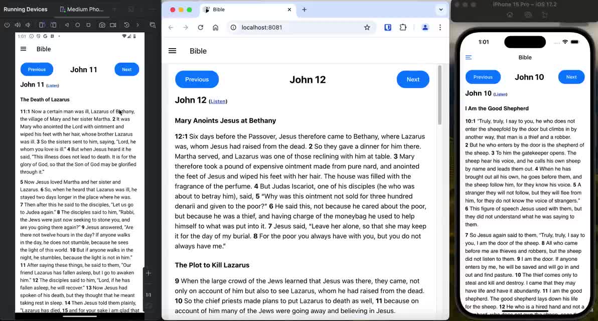 React Native Bible app preview